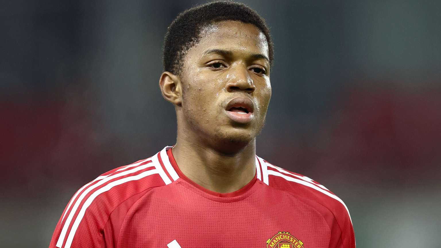 莫德里奇与 莫德里奇与