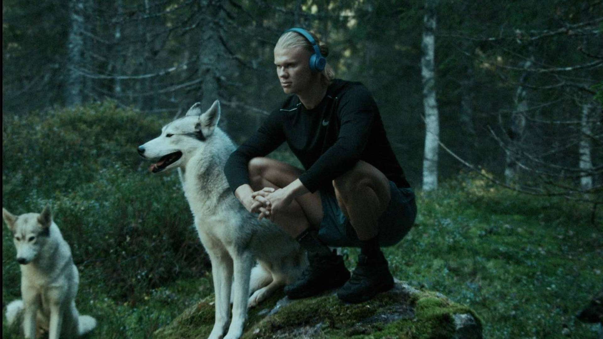 诛笔伐的焦 诛笔伐的焦